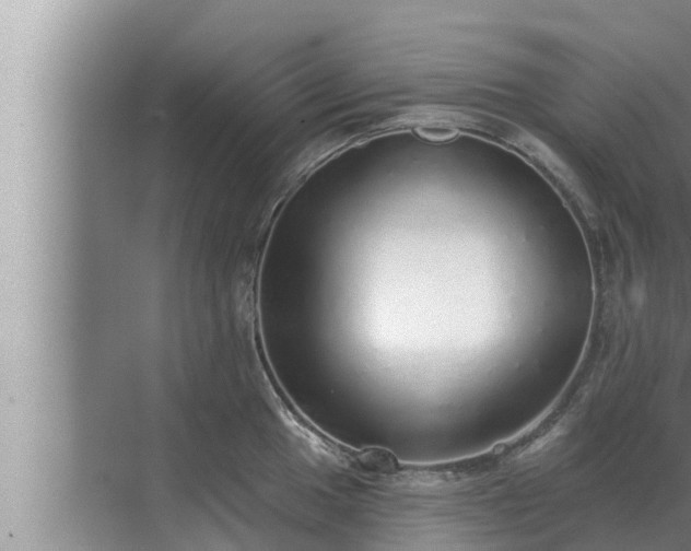 X0000072941049200607282158