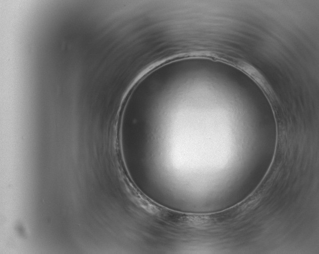 X0000072941052200607282158