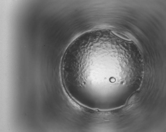 X0000072941055200607282158