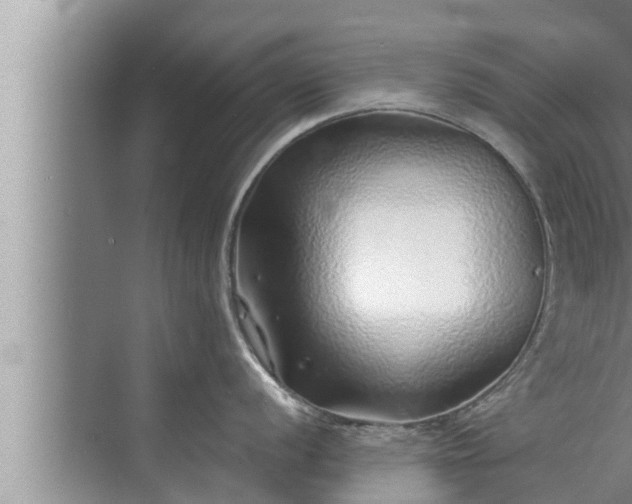 X0000072941056200607282158