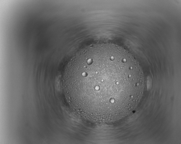 X0000072941059200607282157