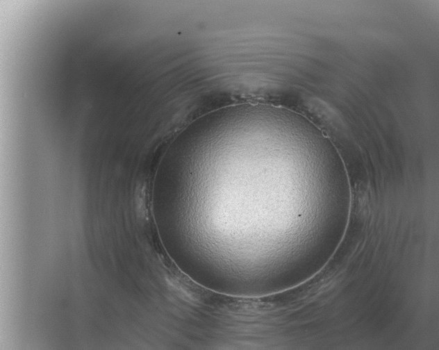 X0000072941060200607282157