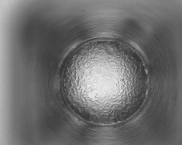 X0000072941067200607282157