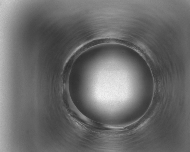 X0000072941069200607282157