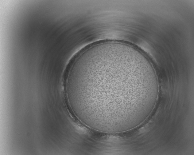 X0000072941070200607282157