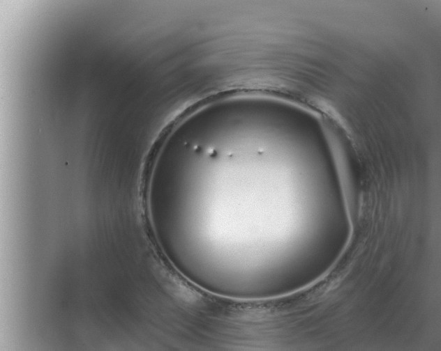 X0000072941071200607282157