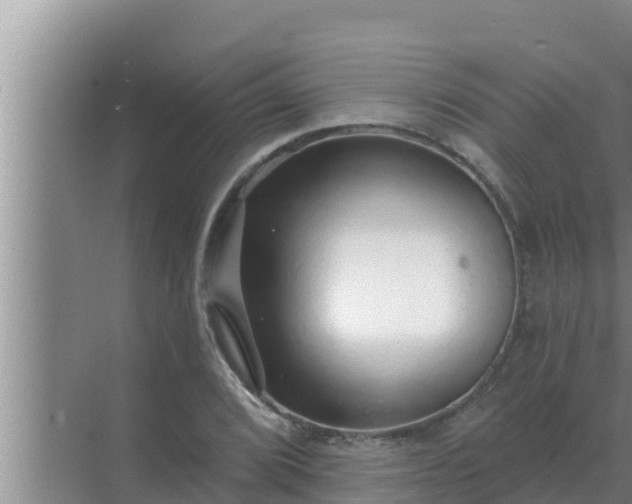 X0000072941072200607282157