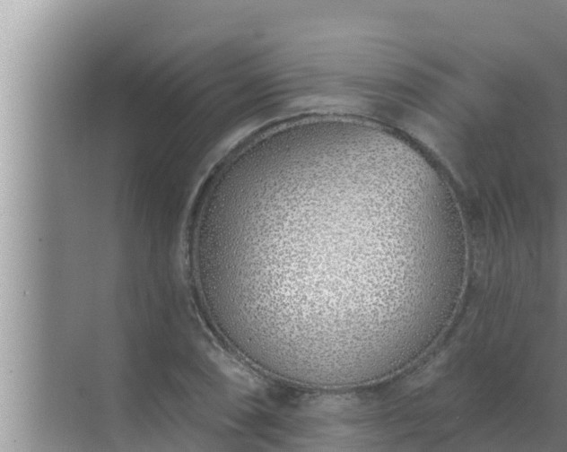 X0000072941074200607282157