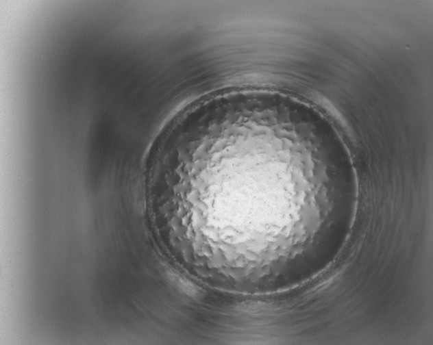 X0000072941075200607282157