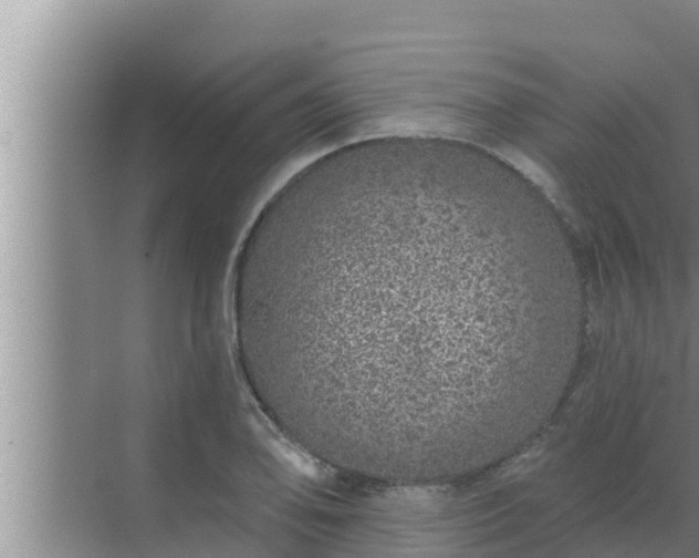 X0000072941078200607282157