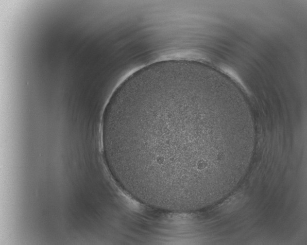 X0000072941079200607282157