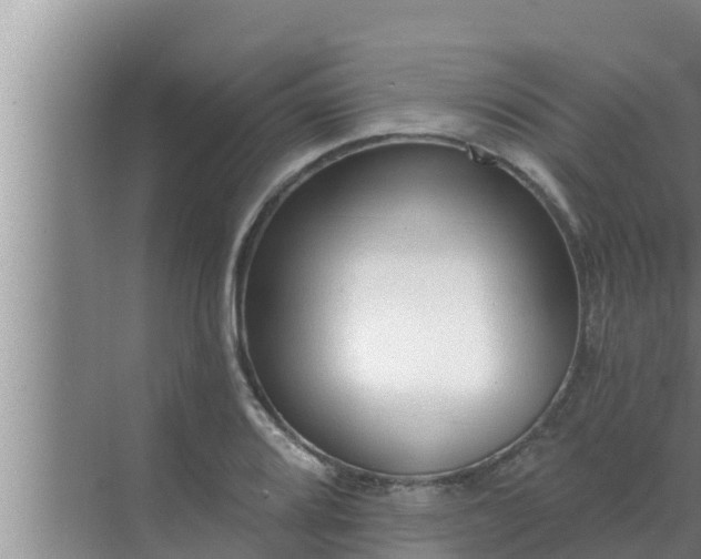 X0000072941080200607282157