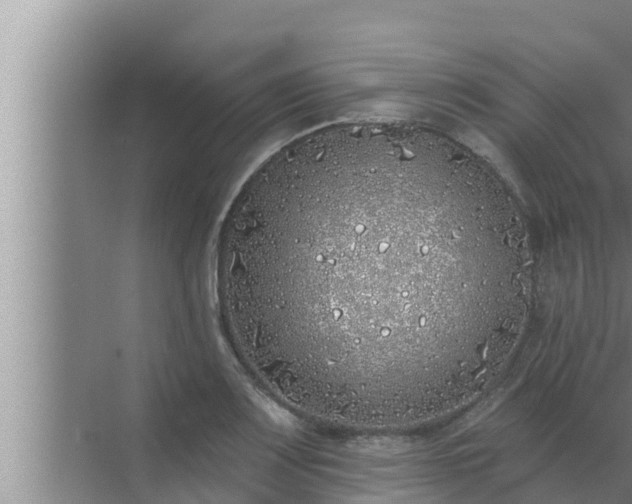 X0000072941083200607282157