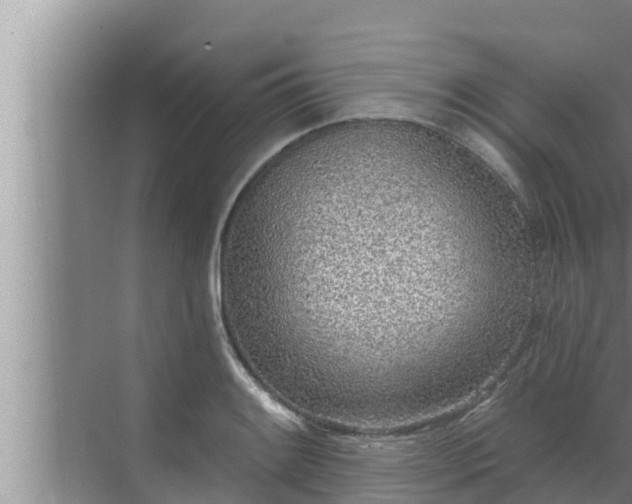 X0000072941084200607282157