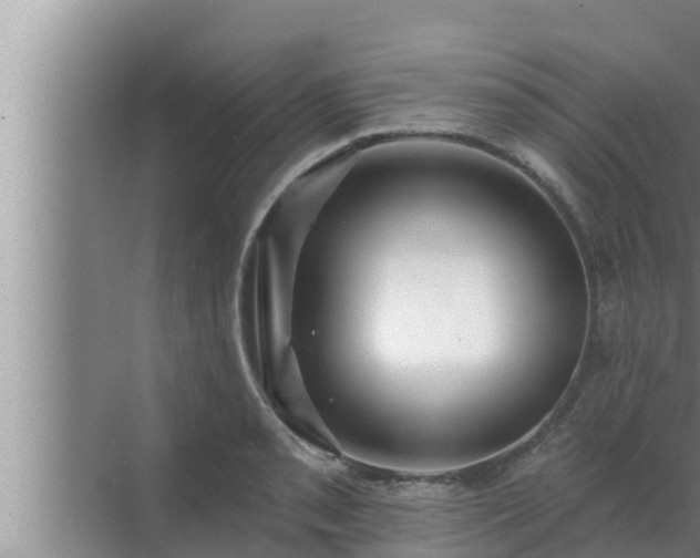 X0000072941085200607282157