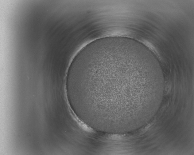 X0000072941086200607282157