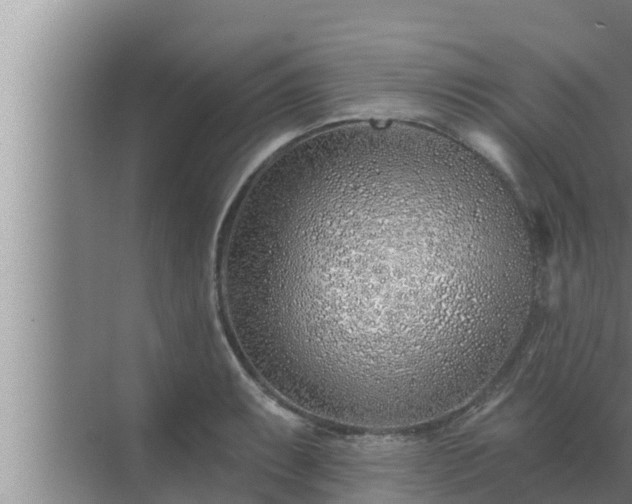 X0000072941087200607282157