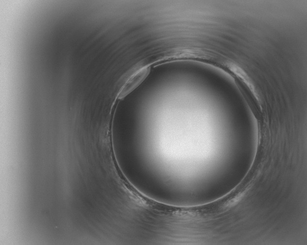 X0000072941089200607282157