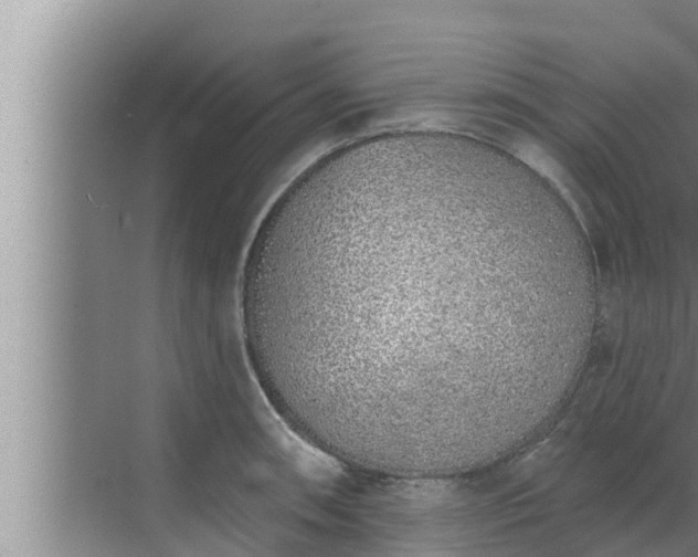 X0000072941090200607282157