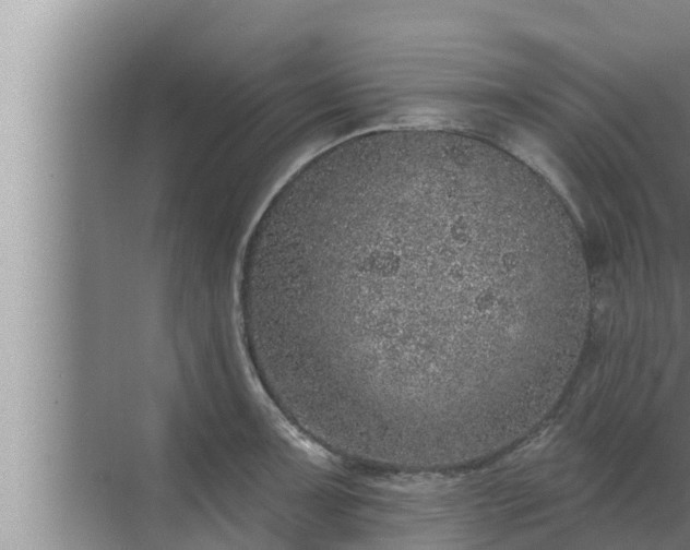 X0000072941091200607282157