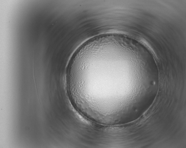 X0000072941092200607282157