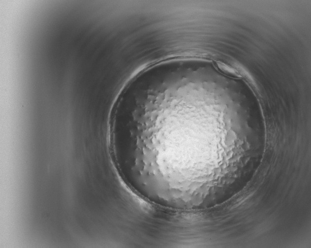 X0000072941095200607282157