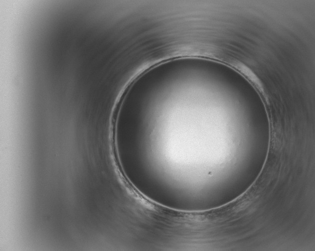 X0000072941096200607282157