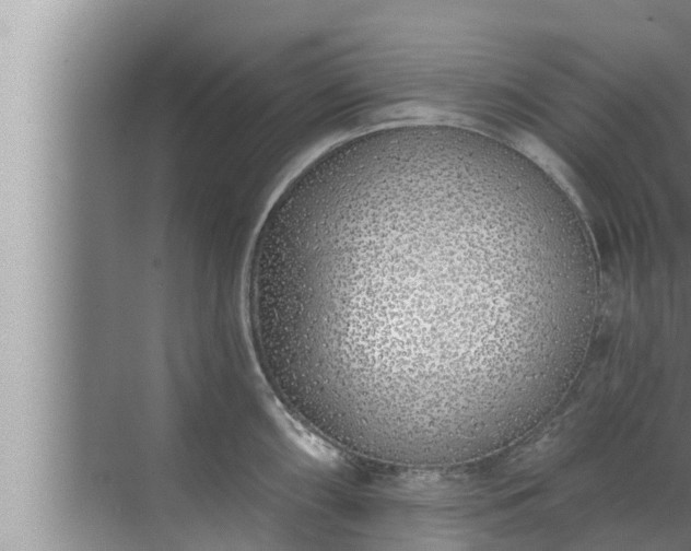 X0000072941098200607282157