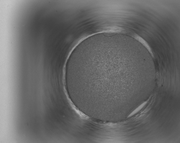 X0000072941099200607282157