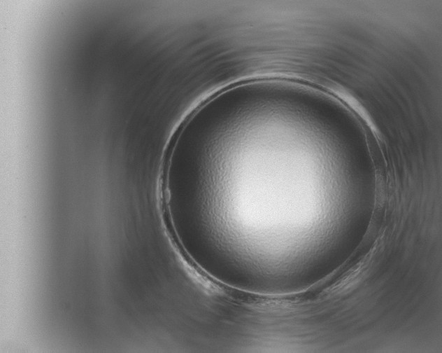 X0000072941101200607282157