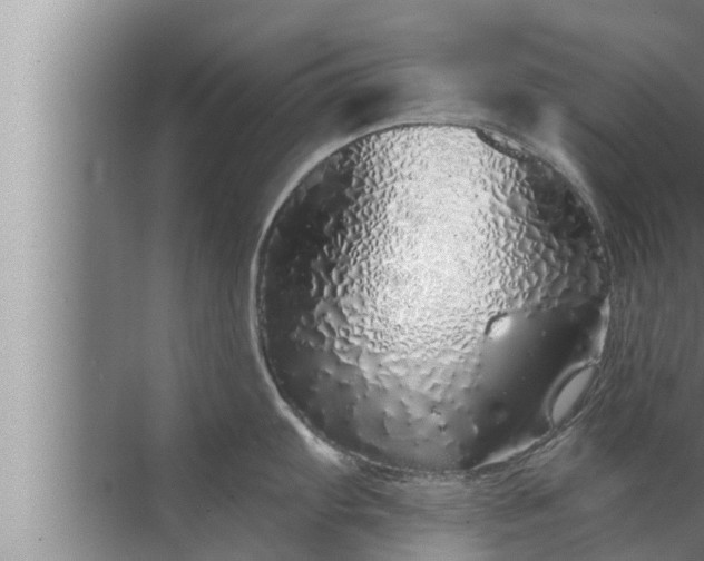 X0000072941103200607282157