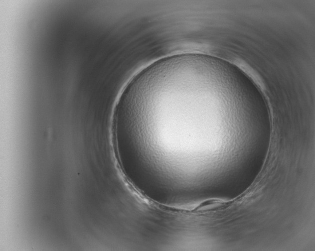 X0000072941104200607282157