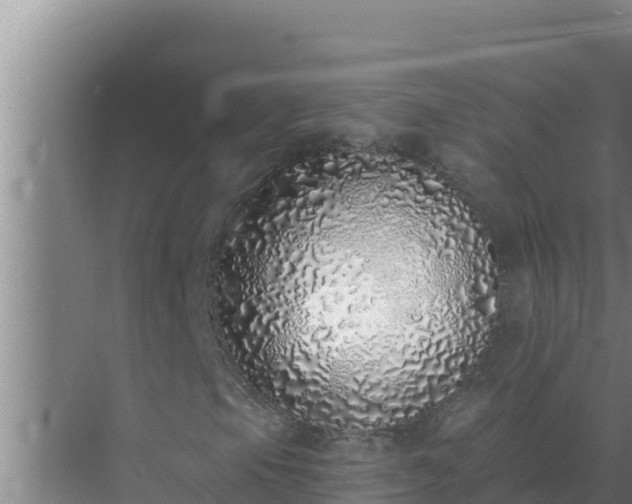 X0000072941105200607282156