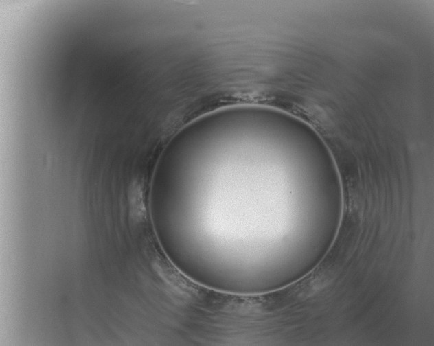 X0000072941106200607282156