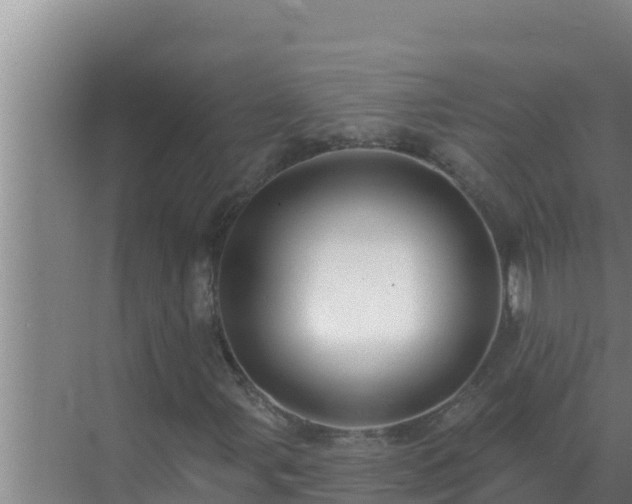 X0000072941107200607282156