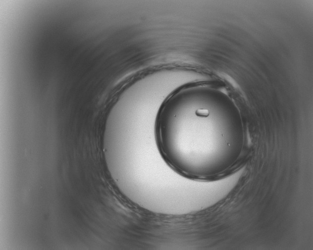 X0000072941112200607282156