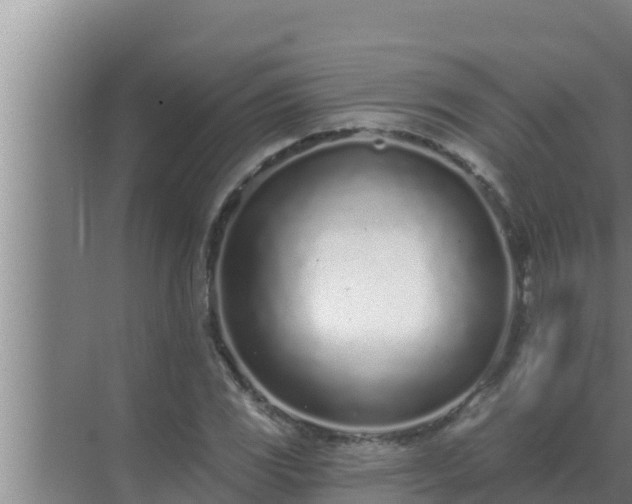 X0000072941117200607282156