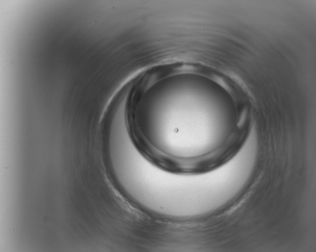 X0000072941118200607282156