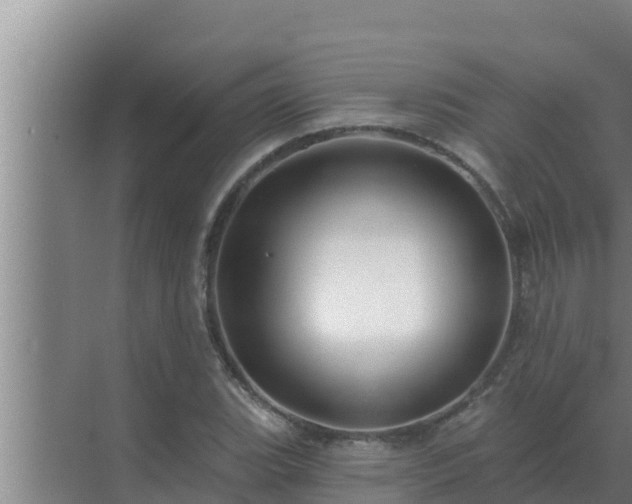 X0000072941119200607282156