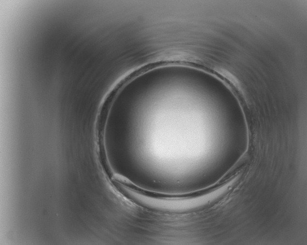 X0000072941120200607282156