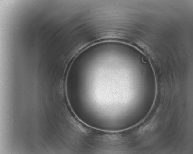 X0000072941121200607282156