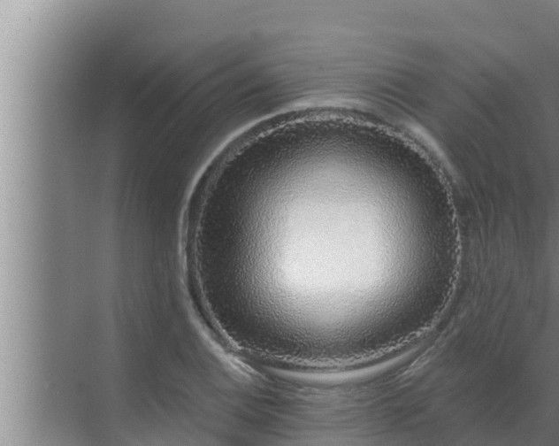 X0000072941124200607282156