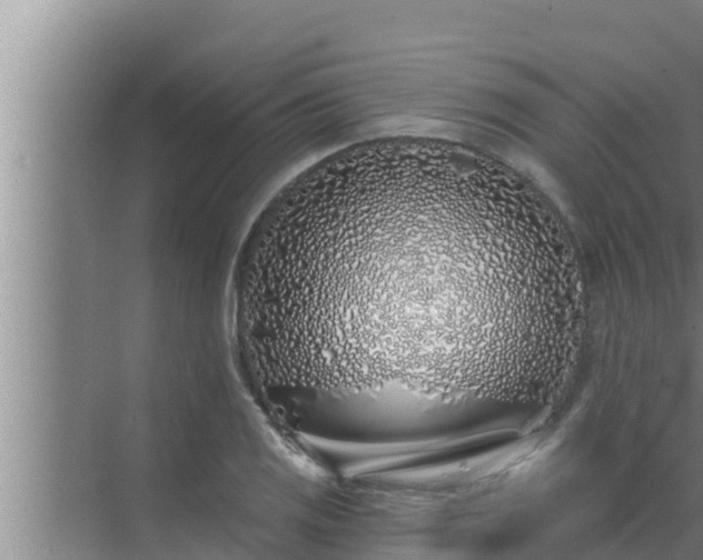 X0000072941125200607282156