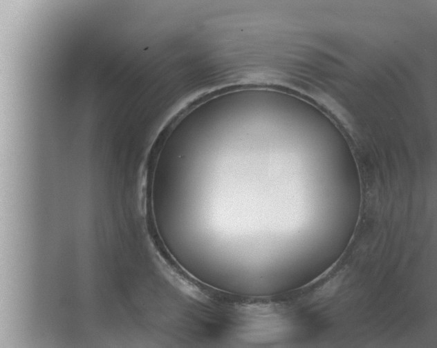 X0000072941126200607282156