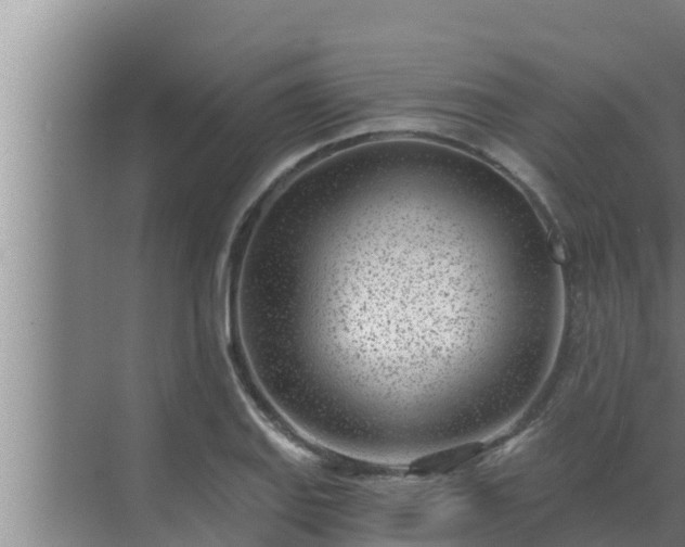 X0000072941127200607282156