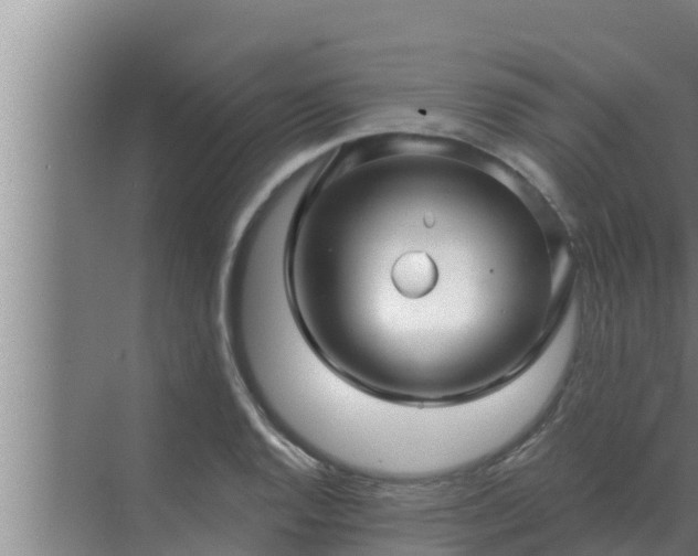 X0000072941128200607282156