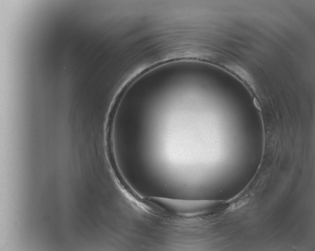 X0000072941135200607282156