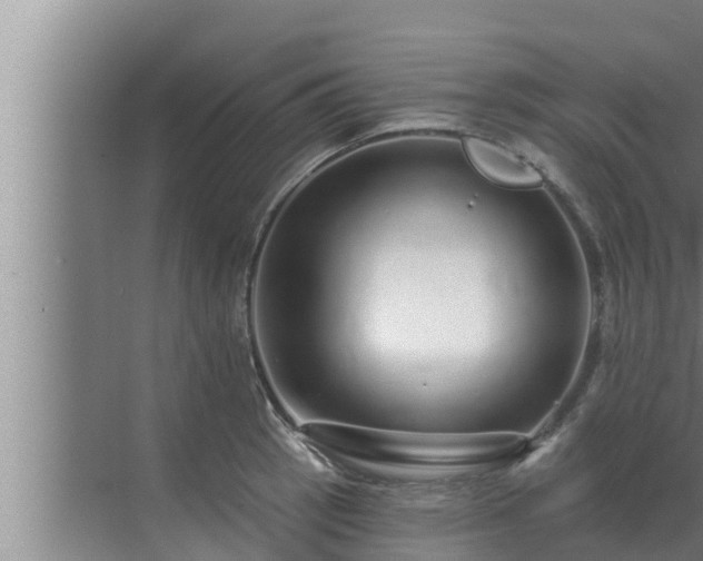 X0000072941137200607282156