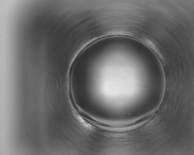 X0000072941140200607282156