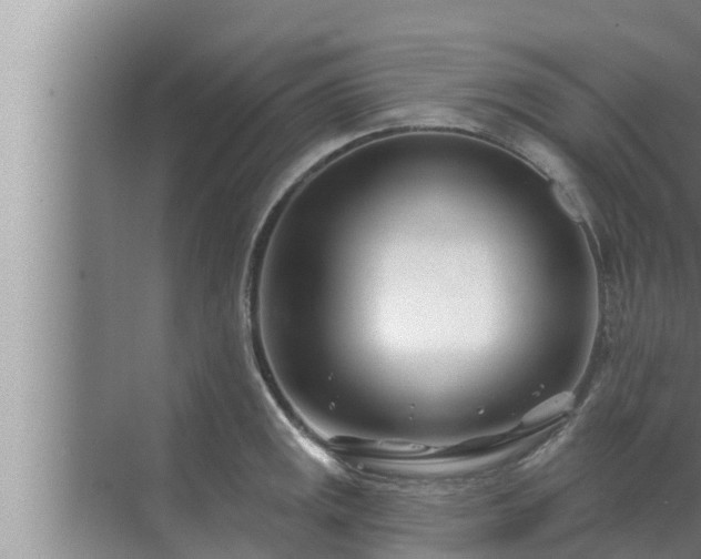 X0000072941141200607282156